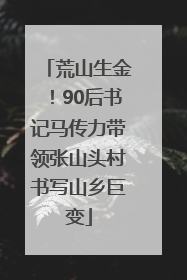 荒山生金！90后书记马传力带领张山头村书写山乡巨变