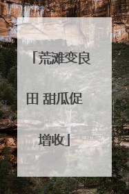 荒滩变良田 甜瓜促增收