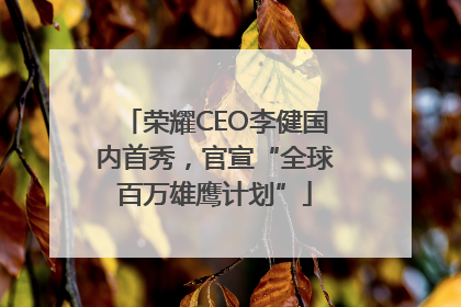 荣耀CEO李健国内首秀，官宣“全球百万雄鹰计划”
