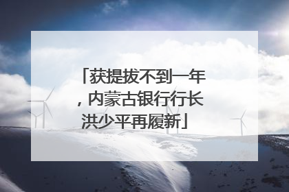 获提拔不到一年，内蒙古银行行长洪少平再履新