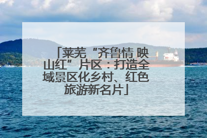 莱芜“齐鲁情 映山红”片区：打造全域景区化乡村、红色旅游新名片