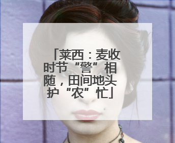 莱西：麦收时节“警”相随，田间地头护“农”忙