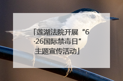 莲湖法院开展“6·26国际禁毒日”主题宣传活动