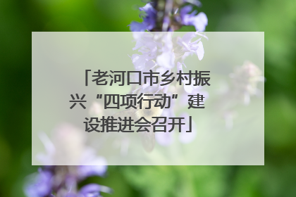 老河口市乡村振兴“四项行动”建设推进会召开