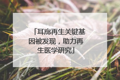 耳廓再生关键基因被发现，助力再生医学研究