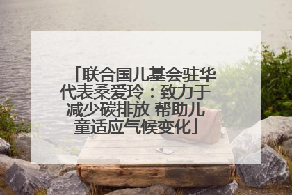 联合国儿基会驻华代表桑爱玲：致力于减少碳排放 帮助儿童适应气候变化