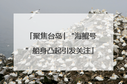 聚焦台岛│“海鲲号”船身凸起引发关注
