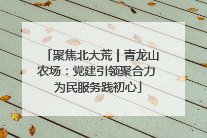 聚焦北大荒｜青龙山农场：党建引领聚合力 为民服务践初心