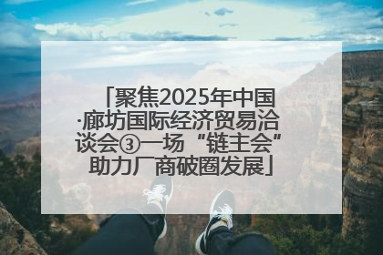 聚焦2025年中国·廊坊国际经济贸易洽谈会③一场“链主会” 助力厂商破圈发展