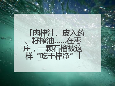 肉榨汁、皮入药、籽榨油……在枣庄，一颗石榴被这样“吃干榨净”