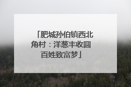肥城孙伯镇西北角村：洋葱丰收圆百姓致富梦