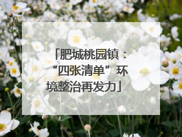 肥城桃园镇：“四张清单”环境整治再发力