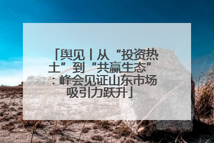 舆见丨从“投资热土”到“共赢生态”：峰会见证山东市场吸引力跃升