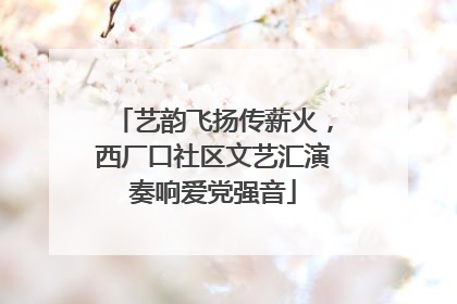 艺韵飞扬传薪火，西厂口社区文艺汇演奏响爱党强音