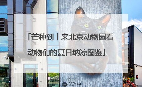 芒种到丨来北京动物园看动物们的夏日纳凉图鉴