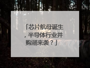 芯片航母诞生，半导体行业并购潮来袭？