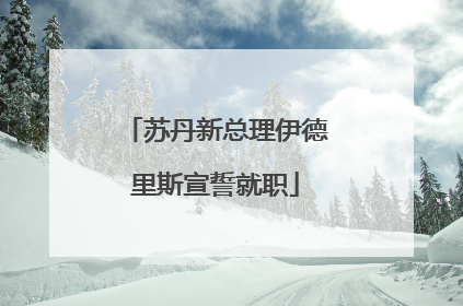 苏丹新总理伊德里斯宣誓就职