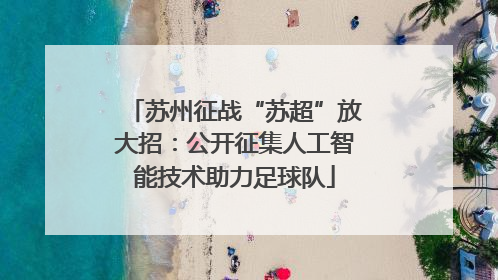 苏州征战“苏超”放大招：公开征集人工智能技术助力足球队