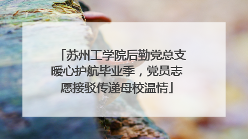 苏州工学院后勤党总支暖心护航毕业季，党员志愿接驳传递母校温情