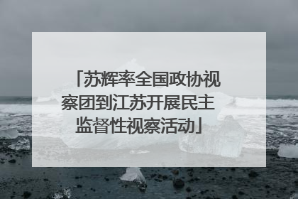 苏辉率全国政协视察团到江苏开展民主监督性视察活动