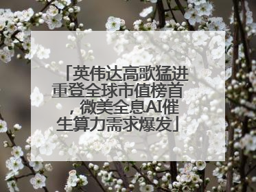 英伟达高歌猛进重登全球市值榜首，微美全息AI催生算力需求爆发
