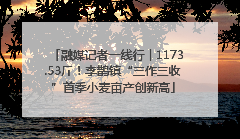 融媒记者一线行丨1173.53斤！李鹊镇“三作三收”首季小麦亩产创新高