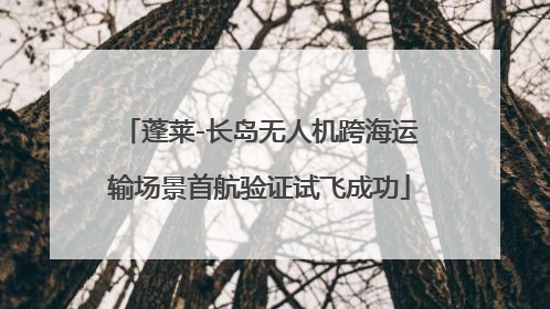蓬莱-长岛无人机跨海运输场景首航验证试飞成功