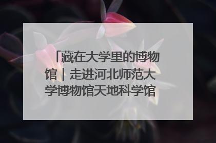 藏在大学里的博物馆｜走进河北师范大学博物馆天地科学馆：在校园里赴一场“宇宙之约”