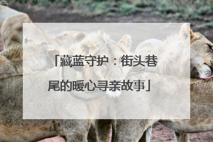 藏蓝守护：街头巷尾的暖心寻亲故事