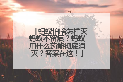蚂蚁怕啥怎样灭蚂蚁不留痕？蚂蚁用什么药能彻底消灭？答案在这！