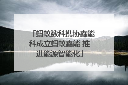 蚂蚁数科携协鑫能科成立蚂蚁鑫能 推进能源智能化