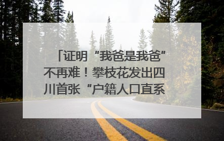 证明“我爸是我爸”不再难！攀枝花发出四川首张“户籍人口直系亲属关系谱”