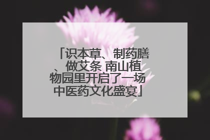 识本草、制药膳、做艾条 南山植物园里开启了一场中医药文化盛宴