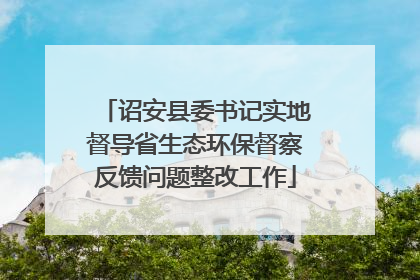 诏安县委书记实地督导省生态环保督察反馈问题整改工作