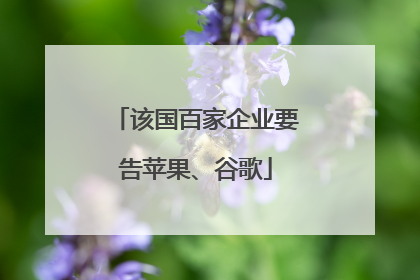 该国百家企业要告苹果、谷歌