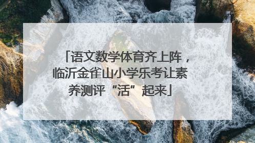 语文数学体育齐上阵，临沂金雀山小学乐考让素养测评“活”起来