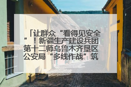 让群众“看得见安全”！新疆生产建设兵团第十二师乌鲁木齐垦区公安局“多线作战”筑牢辖区安全防线