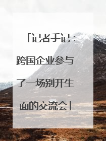 记者手记：跨国企业参与了一场别开生面的交流会
