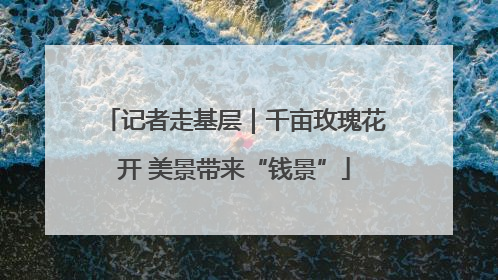 记者走基层｜千亩玫瑰花开 美景带来“钱景”
