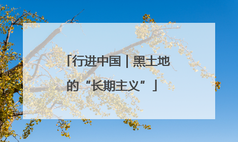行进中国｜黑土地的“长期主义”