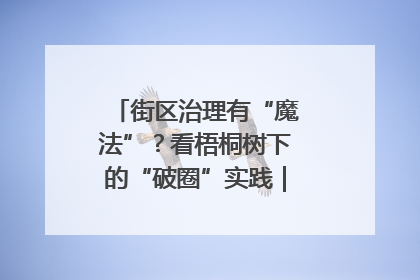 街区治理有“魔法”？看梧桐树下的“破圈”实践｜我在街区当书记