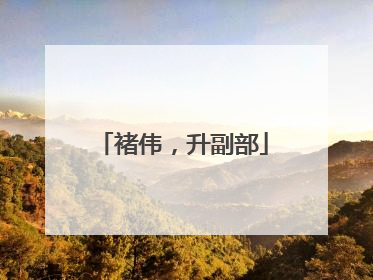褚伟，升副部