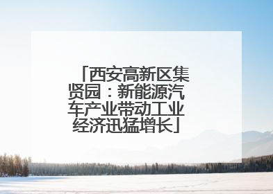 西安高新区集贤园：新能源汽车产业带动工业经济迅猛增长