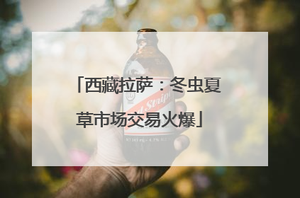 西藏拉萨：冬虫夏草市场交易火爆