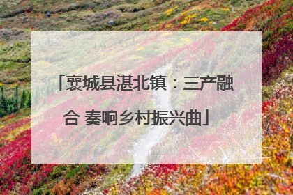 襄城县湛北镇：三产融合 奏响乡村振兴曲