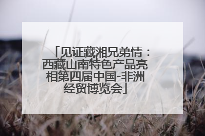 见证藏湘兄弟情：西藏山南特色产品亮相第四届中国-非洲经贸博览会