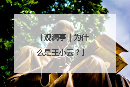 观澜亭｜为什么是王小云？