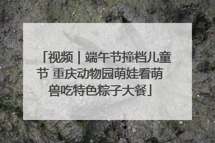 视频｜端午节撞档儿童节 重庆动物园萌娃看萌兽吃特色粽子大餐