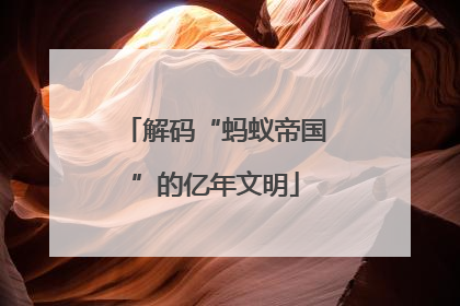 解码“蚂蚁帝国”的亿年文明