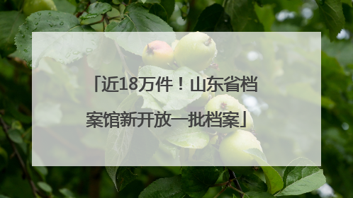 近18万件！山东省档案馆新开放一批档案